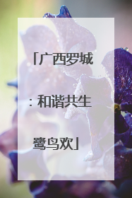 广西罗城：和谐共生鹭鸟欢