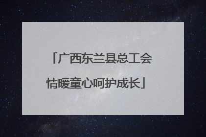 广西东兰县总工会情暖童心呵护成长