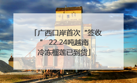 广西口岸首次“签收” 22.24吨越南冷冻榴莲已到货