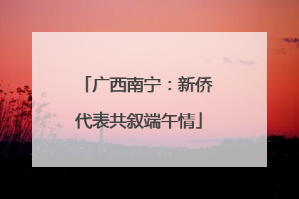 广西南宁：新侨代表共叙端午情