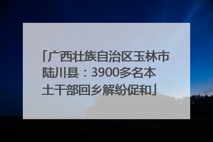 广西壮族自治区玉林市陆川县：3900多名本土干部回乡解纷促和