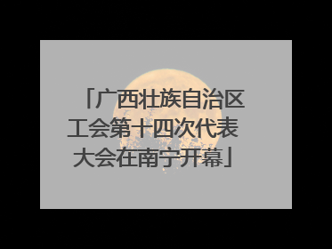 广西壮族自治区工会第十四次代表大会在南宁开幕