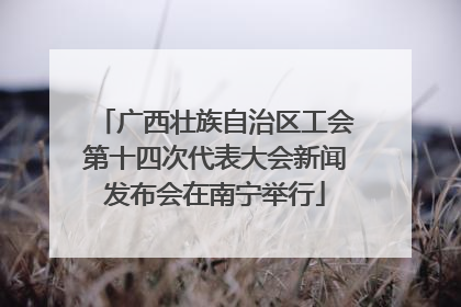 广西壮族自治区工会第十四次代表大会新闻发布会在南宁举行