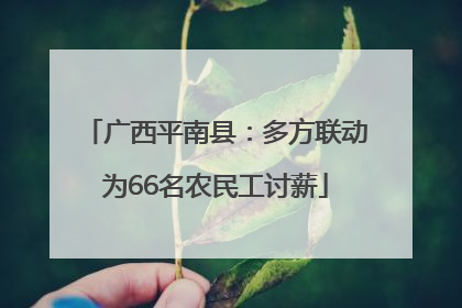 广西平南县：多方联动为66名农民工讨薪