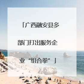 广西融安县多部门打出服务企业“组合拳”