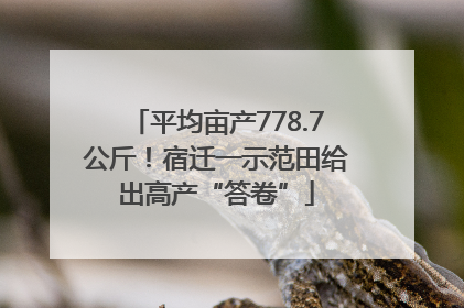平均亩产778.7公斤！宿迁一示范田给出高产“答卷”