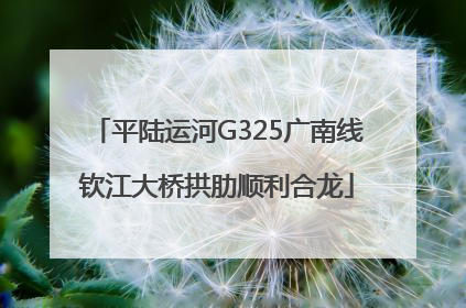 平陆运河G325广南线钦江大桥拱肋顺利合龙