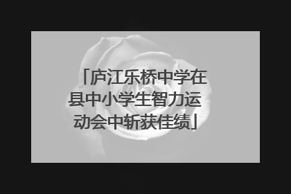 庐江乐桥中学在县中小学生智力运动会中斩获佳绩