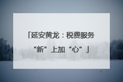 延安黄龙：税费服务“新”上加“心”