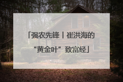 强农先锋丨崔洪海的“黄金叶”致富经