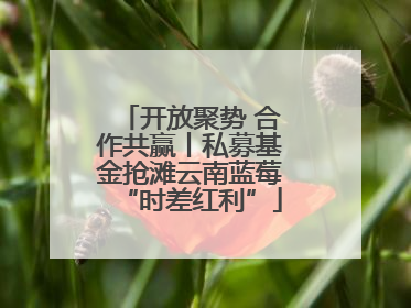 开放聚势 合作共赢丨私募基金抢滩云南蓝莓“时差红利”