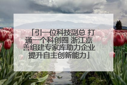引一位科技副总 打通一个科创圈 浙江嘉善组建专家库助力企业提升自主创新能力