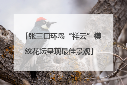 张三口环岛“祥云”模纹花坛呈现最佳景观