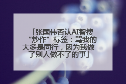 张国伟否认AI智搜“炒作”标签：骂我的大多是同行，因为我做了别人做不了的事