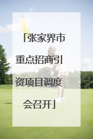 张家界市重点招商引资项目调度会召开