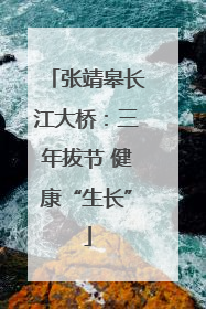 张靖皋长江大桥：三年拔节 健康“生长”