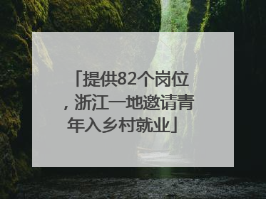 提供82个岗位，浙江一地邀请青年入乡村就业