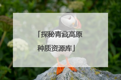 探秘青藏高原种质资源库