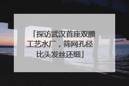 探访武汉首座双膜工艺水厂，筛网孔径比头发丝还细