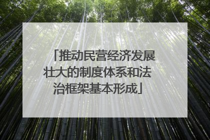 推动民营经济发展壮大的制度体系和法治框架基本形成
