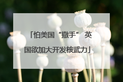 怕美国“撒手” 英国欲加大开发核武力