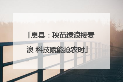 息县：秧苗绿浪接麦浪 科技赋能抢农时