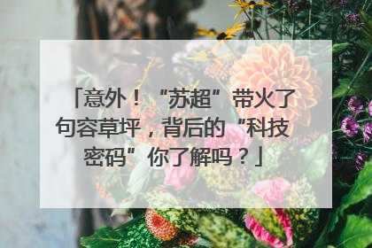 意外！“苏超”带火了句容草坪，背后的“科技密码”你了解吗？