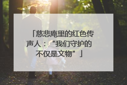 慈悲庵里的红色传声人：“我们守护的不仅是文物”