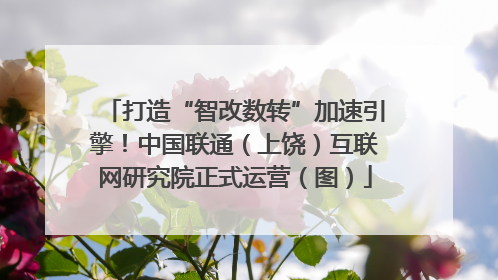 打造“智改数转”加速引擎！中国联通（上饶）互联网研究院正式运营（图）