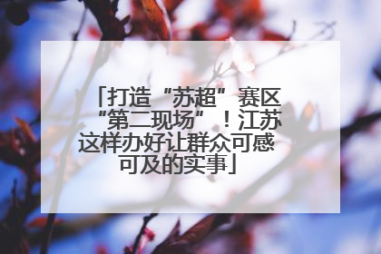 打造“苏超”赛区“第二现场”！江苏这样办好让群众可感可及的实事