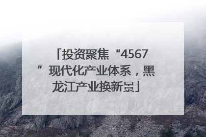 投资聚焦“4567”现代化产业体系，黑龙江产业换新景