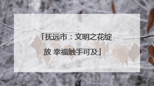 抚远市：文明之花绽放 幸福触手可及