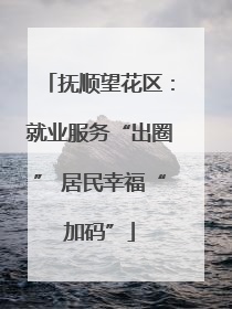 抚顺望花区：就业服务“出圈” 居民幸福“加码”