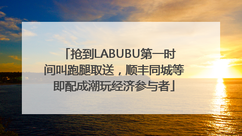 抢到LABUBU第一时间叫跑腿取送，顺丰同城等即配成潮玩经济参与者