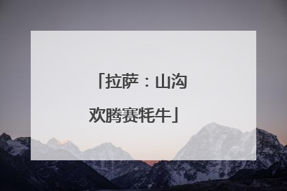 拉萨：山沟欢腾赛牦牛