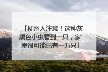 柳州人注意！这种灰黑色小虫看到一只，家里很可能已有一万只