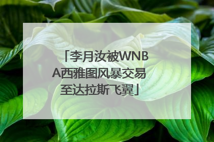 李月汝被WNBA西雅图风暴交易至达拉斯飞翼