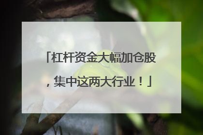 杠杆资金大幅加仓股，集中这两大行业！