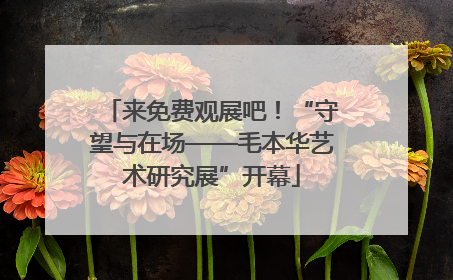 来免费观展吧！“守望与在场——毛本华艺术研究展”开幕