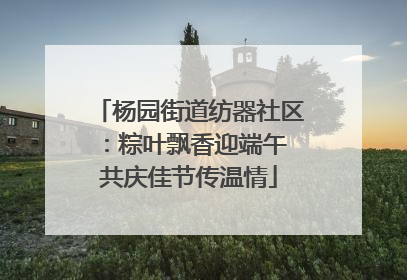 杨园街道纺器社区：粽叶飘香迎端午 共庆佳节传温情