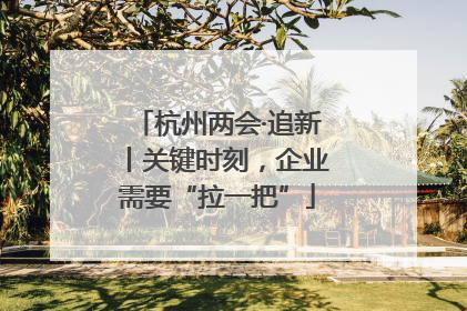 杭州两会·追新丨关键时刻，企业需要“拉一把”
