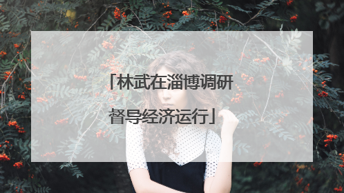 林武在淄博调研督导经济运行