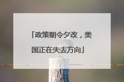 政策朝令夕改，美国正在失去方向