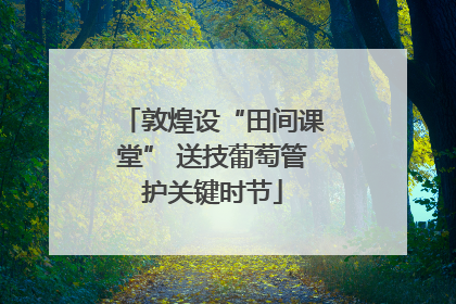 敦煌设“田间课堂” 送技葡萄管护关键时节