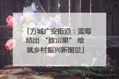 方城广安街道：蓝莓结出 “致富果” 绘就乡村振兴新图景
