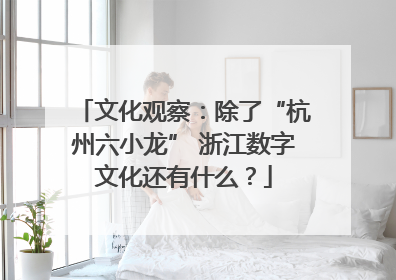 文化观察：除了“杭州六小龙” 浙江数字文化还有什么？