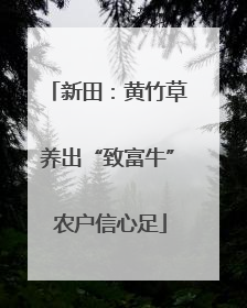 新田：黄竹草养出“致富牛” 农户信心足