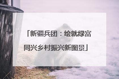 新疆兵团：绘就绿富同兴乡村振兴新图景