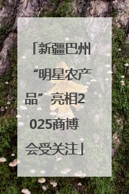 新疆巴州“明星农产品”亮相2025商博会受关注