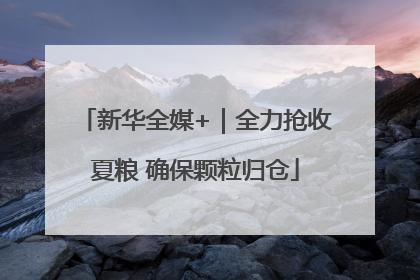 新华全媒+｜全力抢收夏粮 确保颗粒归仓